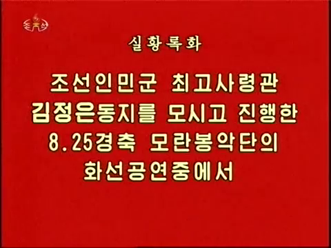8.25경축 모란봉악단의 화선공연
