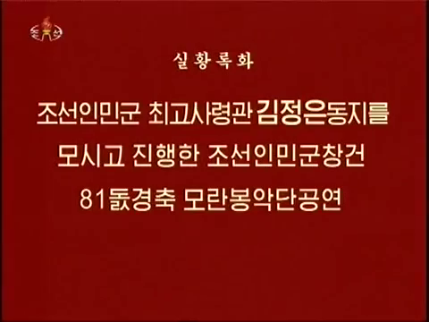 조선인민군창건 81돐경축 모란봉악단공연