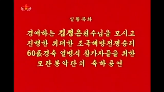 위대한 조국해방전쟁승리 60돐경축 열병식 참가자들을 위한 모란봉악단의 축하공연